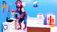 Monkey coco