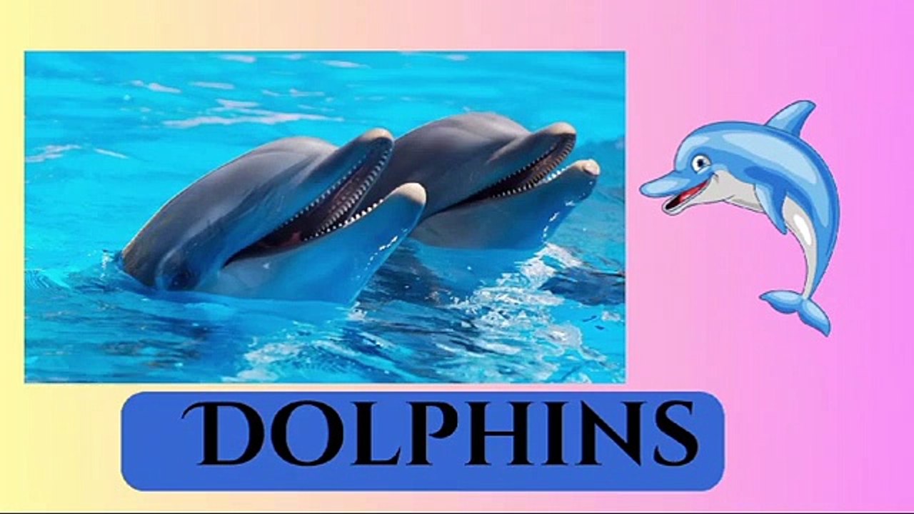 Sea Animals | Ocean Animals Vocabulary | Sea Animals Names in English | informative video #minicartoontv12