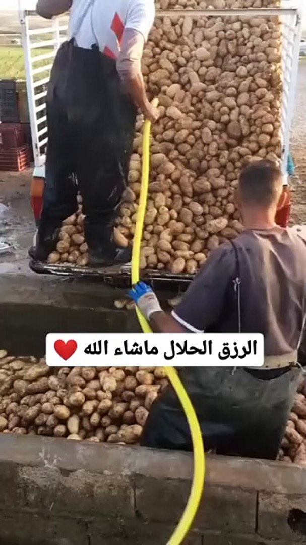 الرزق الحلال ما شاء الله