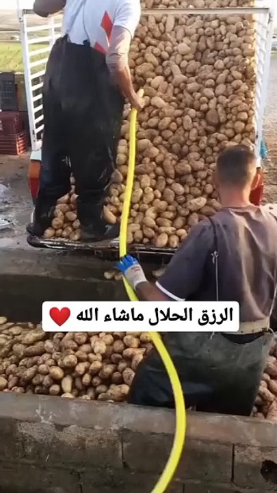 الرزق الحلال ما شاء الله