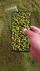 Samsung S24Ultra screen quality display. #Samsung #Mobile #Mobiledigital #s24ultra #s23ultra