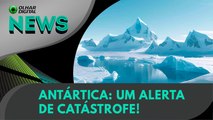 Ao vivo | Antártica: um alerta de catástrofe! | 27/11/2024 | #OlharDigital