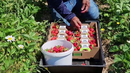 Financement d’entreprises : un faux départ dans la région