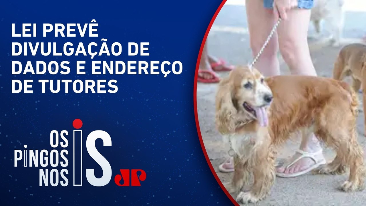 Senado aprova criação de cadastro nacional de animais domésticos