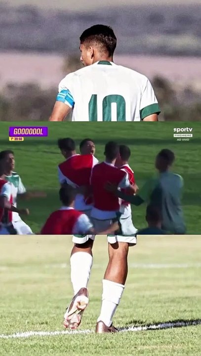 Walmir - Striker/Midfielder