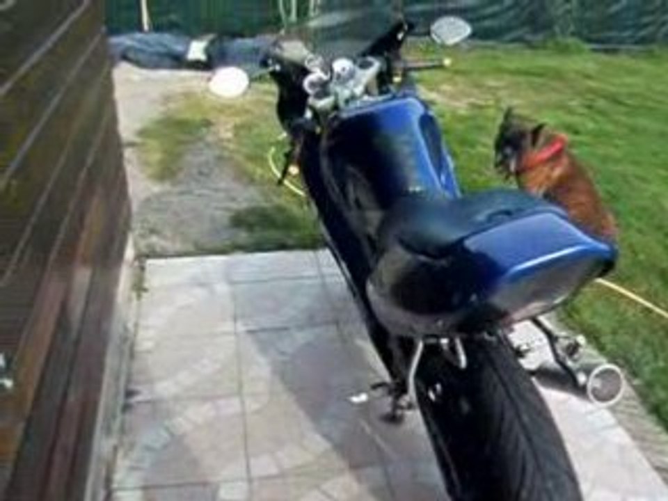 petit truc vous en pensée quoi ??