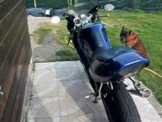 petit truc vous en pensée quoi ??