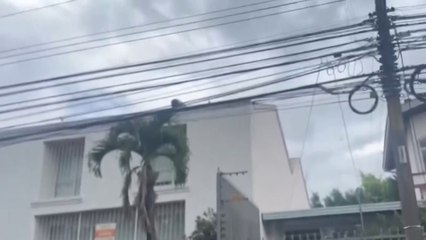 tn7-Video: ¡Por los techos! Así fue como OIJ capturó a sospechosos de fraude-271124