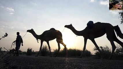 The story and poem of Sheikh Abdul Karim Al-Jarba