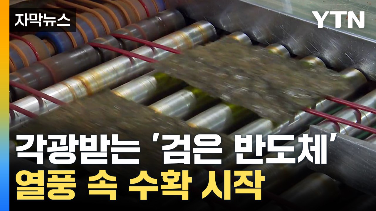 [자막뉴스] 첫 단추 꿴 '검은 반도체' 산업...해외서 각광 / YTN