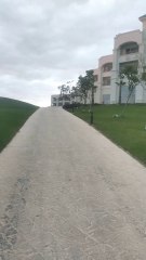 منظر طبيعي ساحر