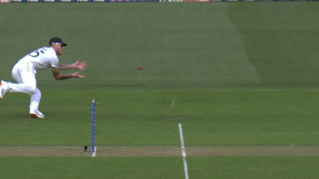 Phillips given a life after Stokes drops tough...