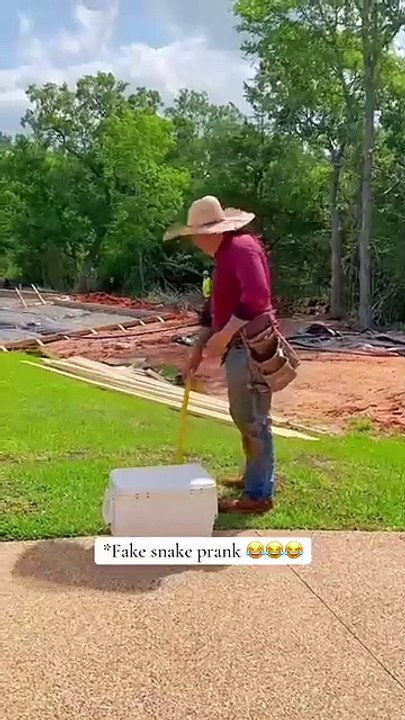 Entertainment funny video 2024