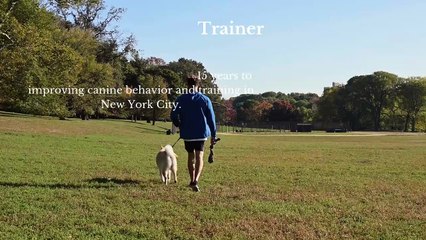 A Brief Introduction About Nathaniel DiRenzo