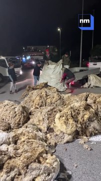 Les agriculteurs des Alpes-Maritimes déversent du fumier devant la préfecture au petit matin pour manifester leur colère