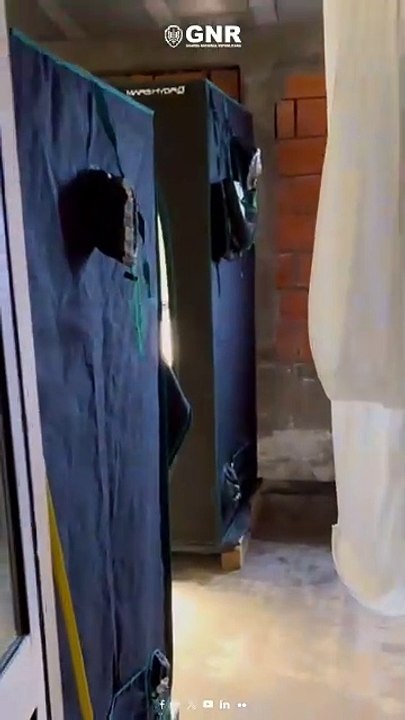 Casal constituído detido por tráfico de droga em Vila Pouca de Aguiar