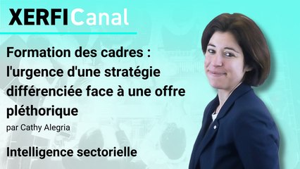 Formation des cadres : l'urgence d'une stratégie différenciée face à une offre pléthorique [Cathy Alegria]