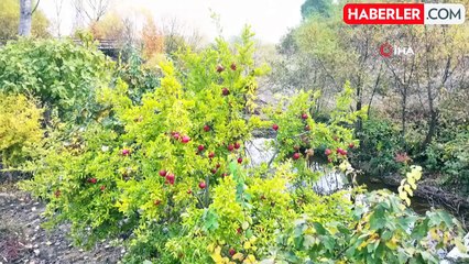 Sonbaharın Güzellikleri Balıkesir'de Dron ile Görüntülendi