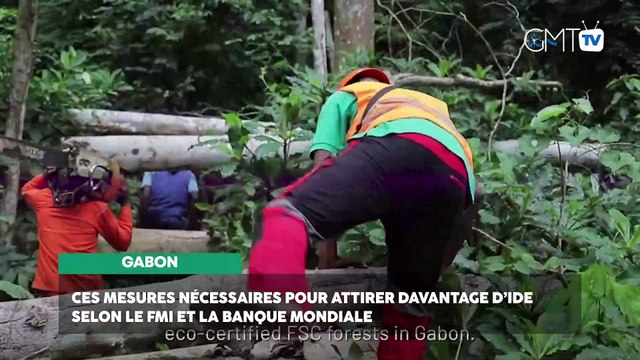 [#Reportage] Gabon : ces mesures nécessaires pour attirer davantage d’IDE selon le FMI et la Banque Mondiale