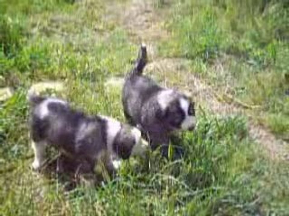 26.04.08 007video (2)