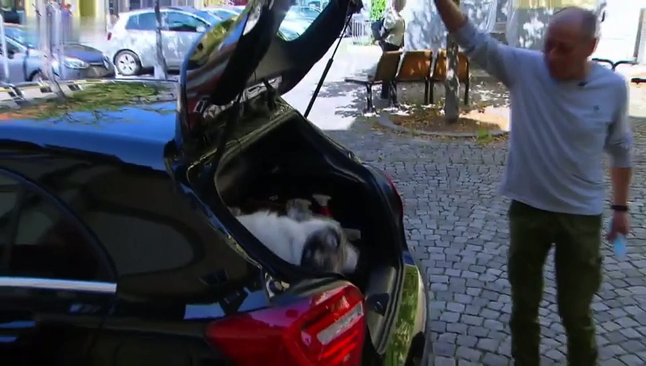 Die Simson-Bande S01E04-Eine Ratte für Max