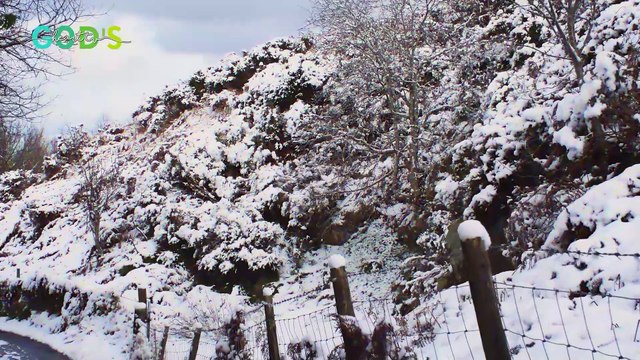 Когда БОЛЬ Приближает Вас к БОГУ... | Брат Крис