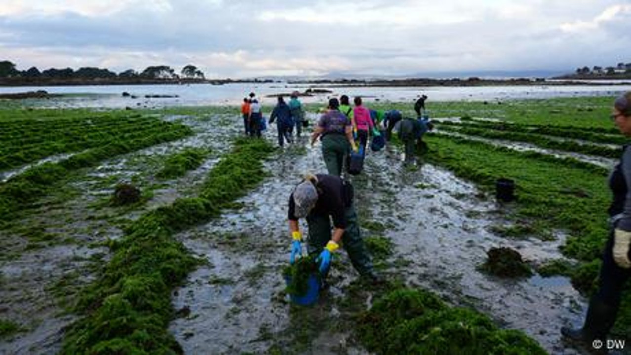 Diese Frauen in Spanien kämpfen um ihre Existenz