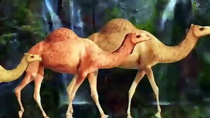 qaum e samood ka anjam _ history of qoom e samood _ prophet saleh as _ Allah ka azab _ qasasulislam