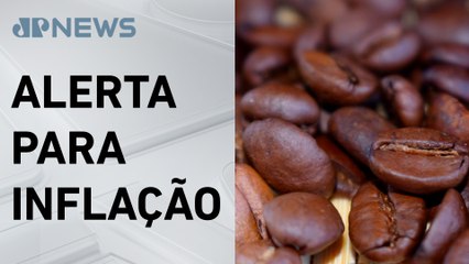 Café arábica atinge maior preço em quase 50 anos