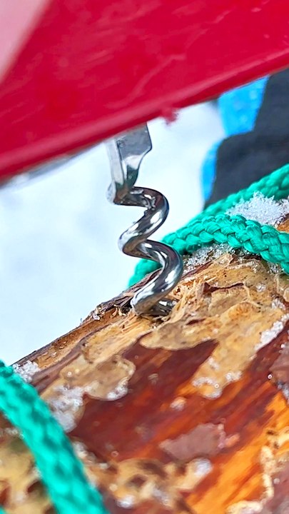 Secret Swiss knife tricks. How to survive in the forest in winter 🗡️❄️