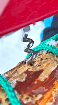 Secret Swiss knife tricks. How to survive in the forest in winter 🗡️❄️