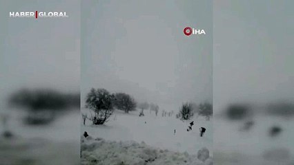 Kar fırtınasında karacaları görüntülemeyi başardı