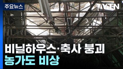 축사 무너지고 비닐하우스 붕괴...농가도 비상 / YTN
