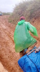 broken road in the forest