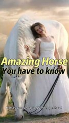 Amazing Horses : Fun Facts You Didn't Know #horse