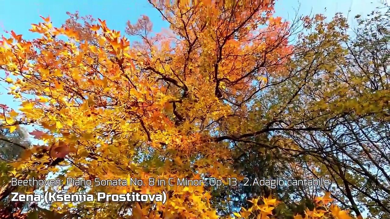 Beethoven_ Piano Sonata No. 8 in C Minor, Op. 13, 2.Adagio cantabile