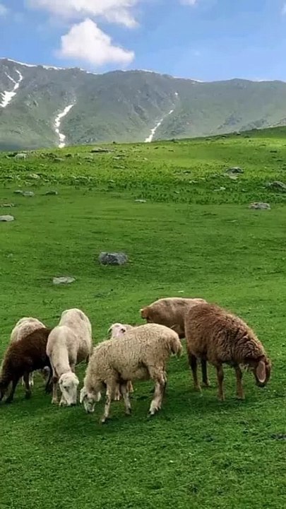 Beautiful place in Kashmir valley