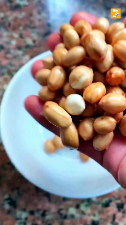 Top 5 Essential Nuts For Our Body ...!