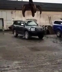 Attempt of utilization an armored Land Cruiser (video)