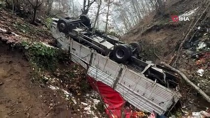 Bursa'da kamyon ormana uçtu!