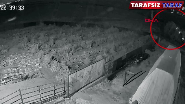 Narin Güran olayında yeni görüntüler ortaya çıktı! Salim Güran o saatte aracıyla neredeydi? | Tarafsız Taraf Haber