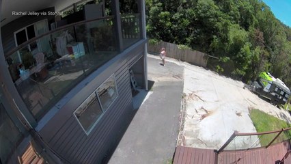 Australiana atacada por cobra gigante