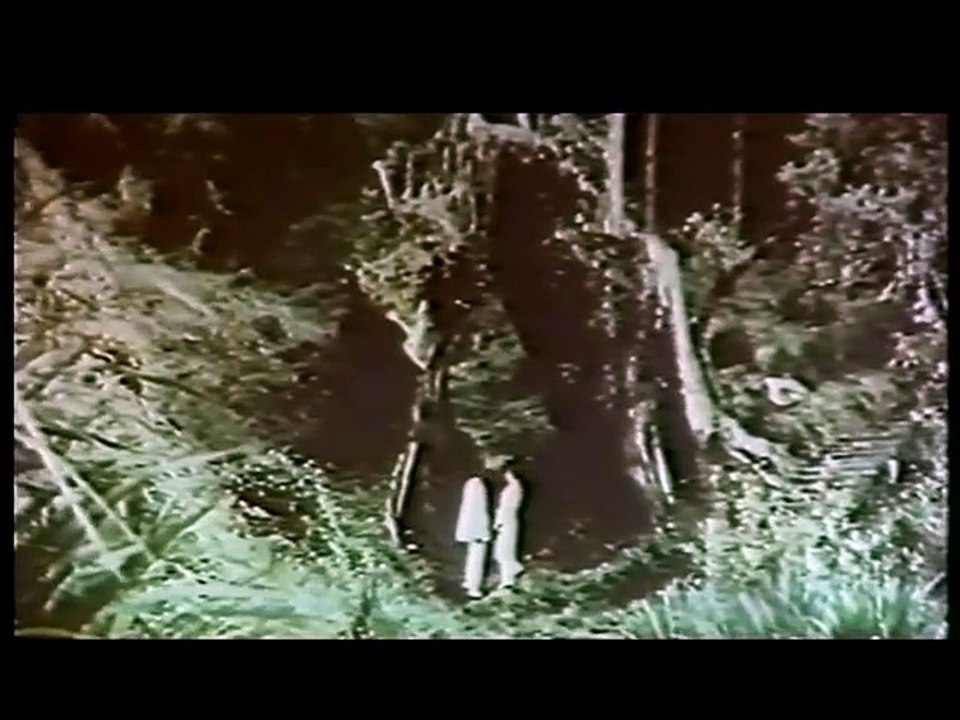 Tiger from Hong Kong (1973)