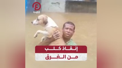 إنقاذ كلب من الغرق