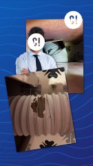 Les rats peuvent arriver chez toi par les WC ?