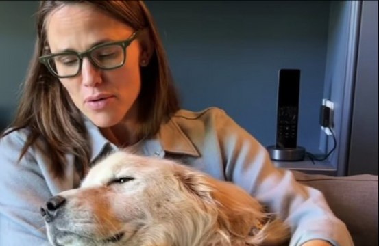 Jennifer Aniston, Lily Collins and Tracee Ellis Ross are among the stars to have sent a message of support to Jennifer Garner following the death of her dog