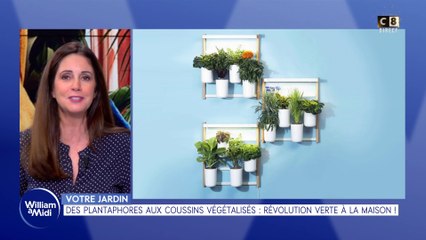 Votre jardin : Des plantaphores aux coussins végétalisés, révolution verte à la maison !