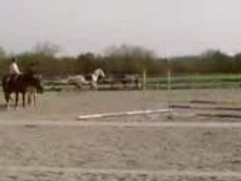 cours de saut samedi