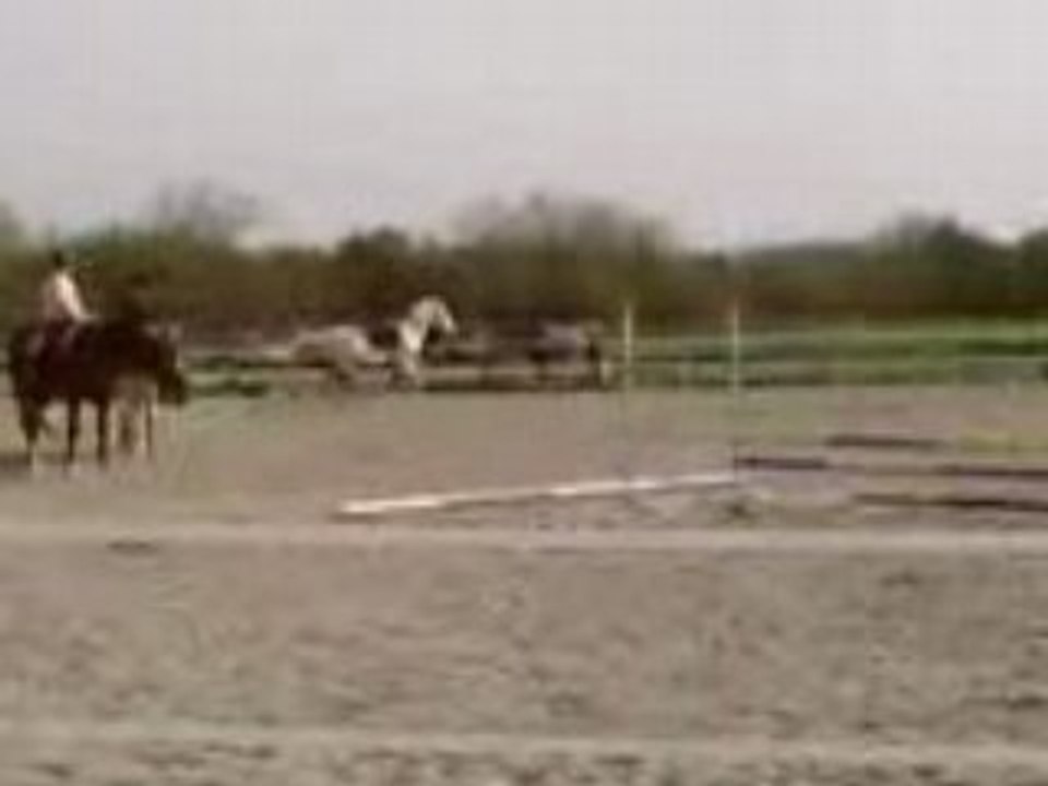 cours de saut samedi