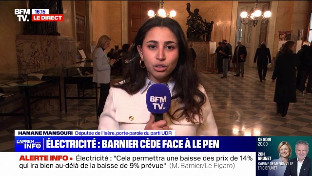 Ce n'est pas à la hauteur de nos attentes : Hanane Mansouri (UDR) réagit à l'annonce de Michel Barnier de ne pas augmenter les taxes sur l'électricité